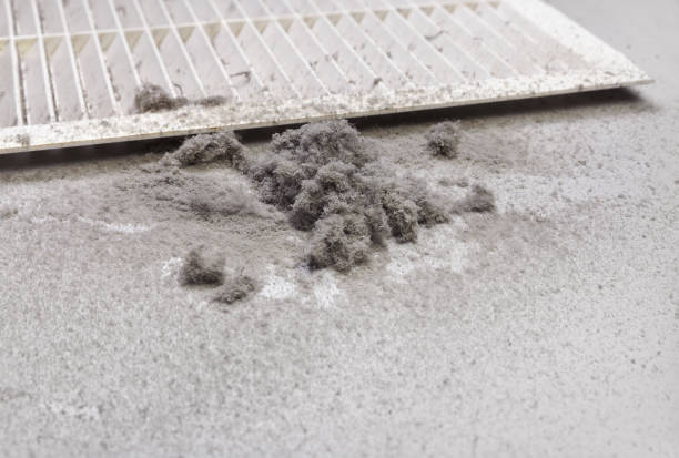 Best Affordable Air Duct Cleaning  in Fitzgerald, GA